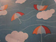 Fabric for Oliver H