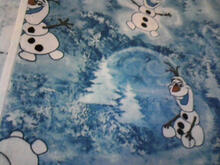Fabric for Aaron A