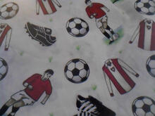 Fabric for Luca R