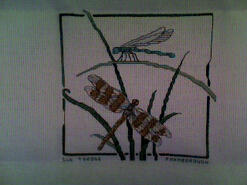 Cross stitch square for Georgina P's quilt