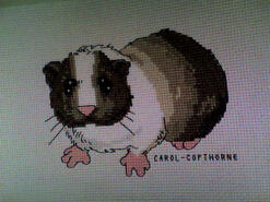 Cross stitch square for Paddy B's quilt