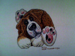 Cross stitch square for Teddy T's quilt