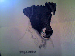 Cross stitch square for Teddy T's quilt