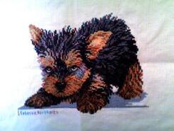 Cross stitch square for Teddy T's quilt