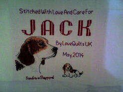 Cross stitch square for Jack D's quilt