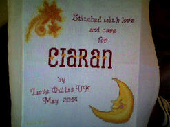 Cross stitch square for Ciaran M's quilt