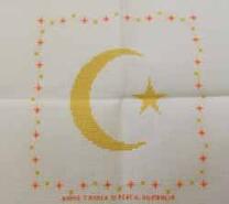 Cross stitch square for Lennon S's quilt