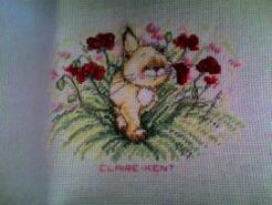 Cross stitch square for Faye S's quilt