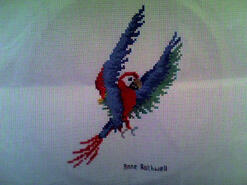 Cross stitch square for Jamie W's quilt