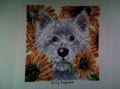 Cross stitch square for Lucy M's quilt
