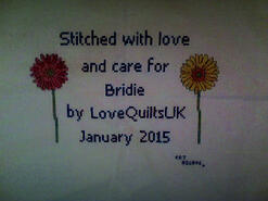 Cross stitch square for Bridie G's quilt