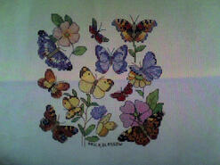 Cross stitch square for Mali B's quilt