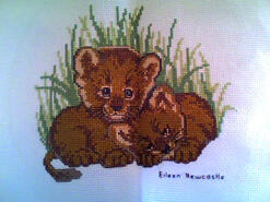 Cross stitch square for Shannon B's quilt