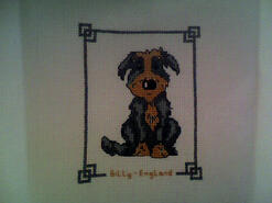 Cross stitch square for Jamie S's quilt