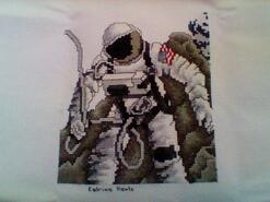 Cross stitch square for Llew D's quilt