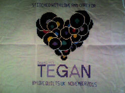 Cross stitch square for Tegan E's quilt