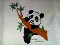 Cross stitch square for Heidi C's quilt