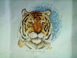 Cross stitch square for Xander B's quilt