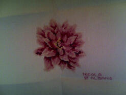 Cross stitch square for Rosie W's quilt