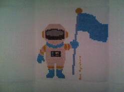 Cross stitch square for Tom M's quilt