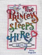 Cross stitch square for Caitlin M's quilt