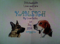 Cross stitch square for Kayleigh R's quilt
