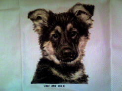 Cross stitch square for Kayleigh R's quilt
