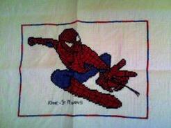 Cross stitch square for Hayden S's quilt