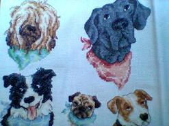 Cross stitch square for any child