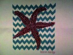 Cross stitch square for Drew C's quilt
