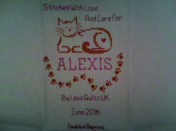 Cross stitch square for Alexis H's quilt