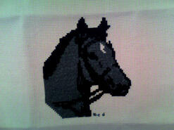 Cross stitch square for Emily-Rose's quilt