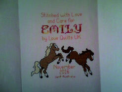 Cross stitch square for Emily L's quilt