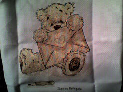 Cross stitch square for Cameron P's quilt