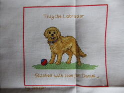 Cross stitch square for Daniel C's quilt