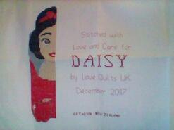 Cross stitch square for Daisy B's quilt