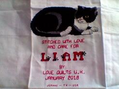 Cross stitch square for Liam G's quilt