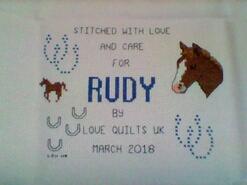 Cross stitch square for Rudy S's quilt