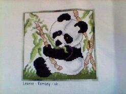 Cross stitch square for Alexander M's quilt