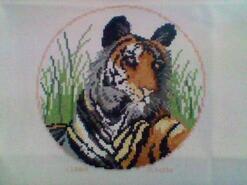 Cross stitch square for Bella T's quilt