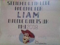 Cross stitch square for Liam J's quilt
