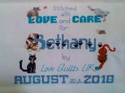 Cross stitch square for Bethany W's quilt