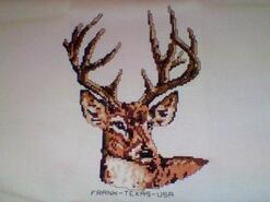 Cross stitch square for Robin T's quilt