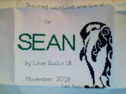 Cross stitch square for Sean B's quilt