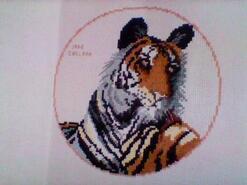 Cross stitch square for Ami-Grace's quilt