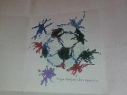 Cross stitch square for Charlie P's quilt