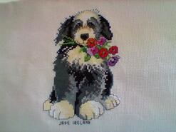 Cross stitch square for Dylan E's quilt