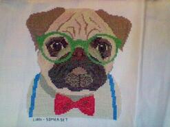 Cross stitch square for Dylan E's quilt
