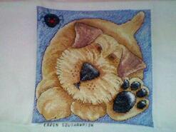 Cross stitch square for Dylan E's quilt
