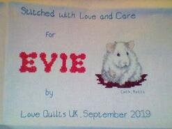 Cross stitch square for Evie P's quilt